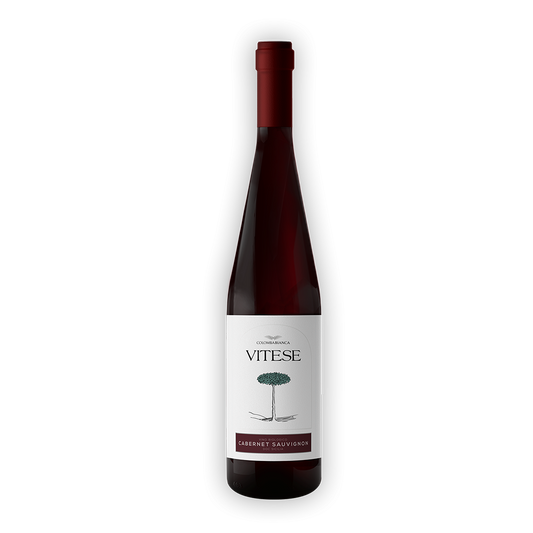 Vitese–Cabernet Sauvignon